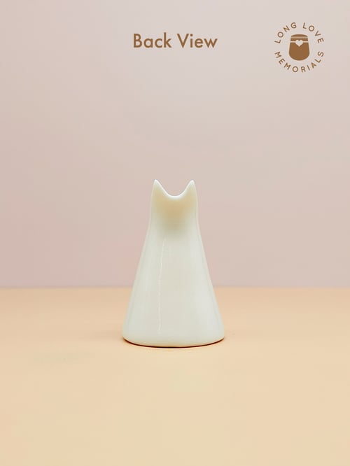 Image of Orange Cat Whisker Holder: Cat Ears Design