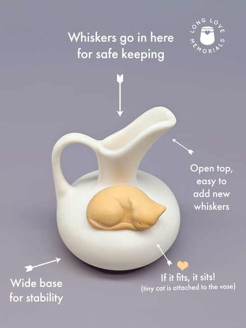 Image of Orange Cat Whisker Holder: Mini Pitcher Vase