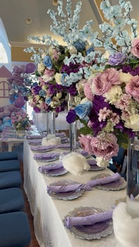Image 21 of Princess Castle Design Package