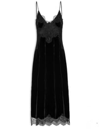 Image 1 of ANIMALE - Velvet Lace Long Dress
