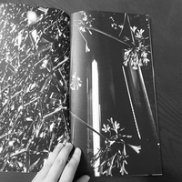 Image 2 of ZINE "Floral Notes"