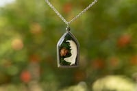 Image 1 of Mink Jaw Pendant