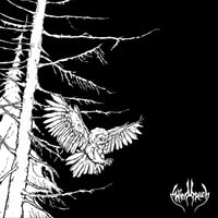Image 1 of Windbruch "No Stars, Only Full Dark" CD