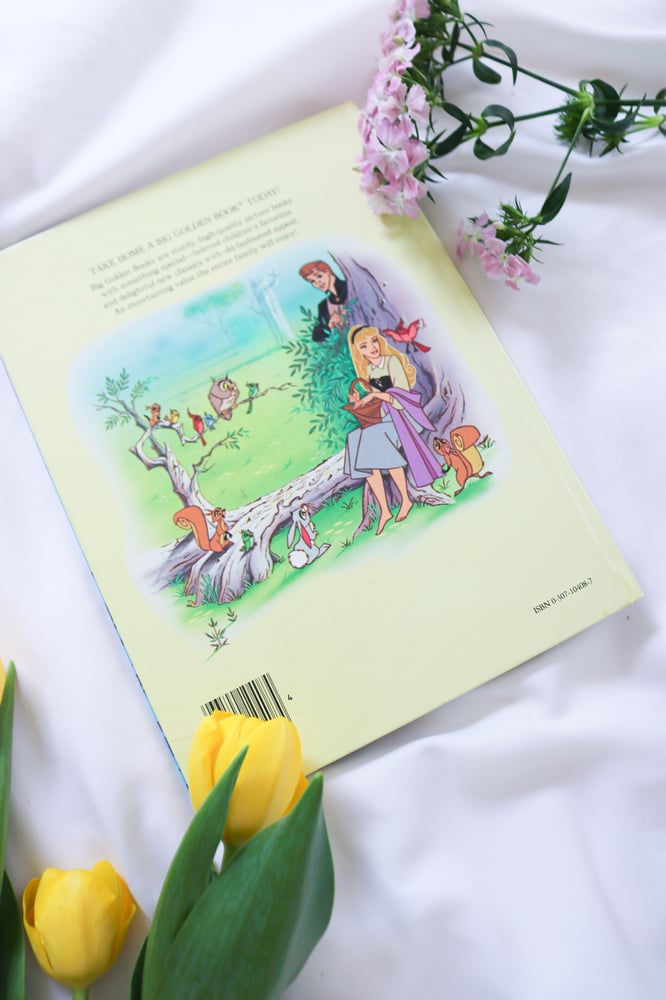 Image of Vintage Disney Princess Coffee Book Bundle Set of 5