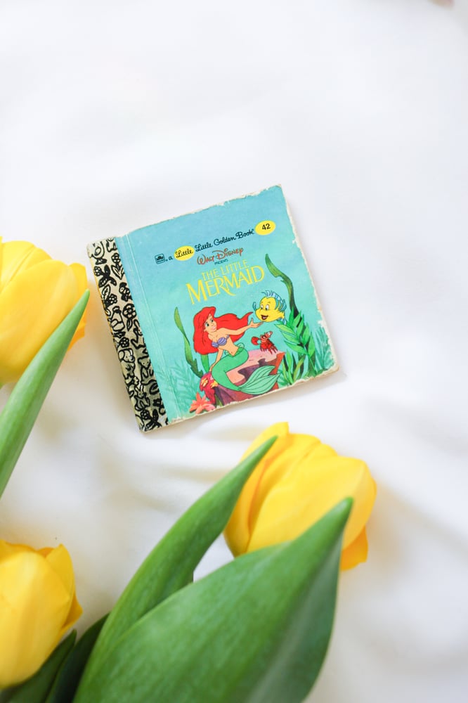 Image of Vintage Disney Princess Coffee Book Bundle Set of 5