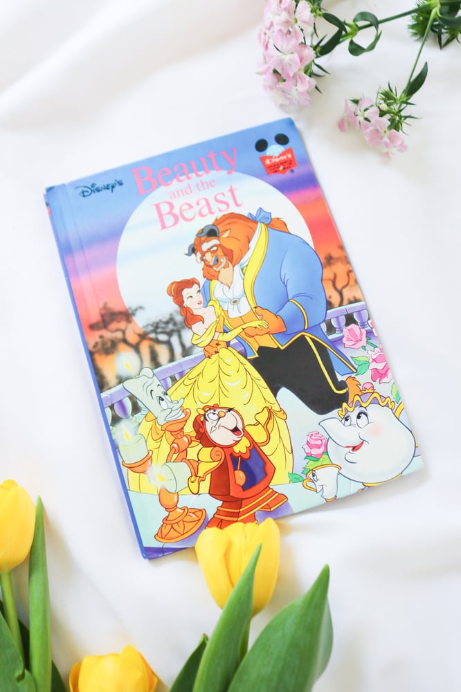 Image of Vintage Disney Princess Coffee Book Bundle Set of 5
