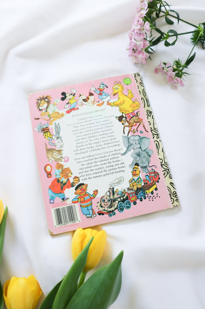 Image of Vintage Disney Princess Coffee Book Bundle Set of 5