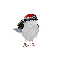 print CHIPPING SPARROW