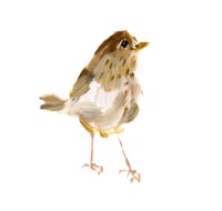 print VEERY