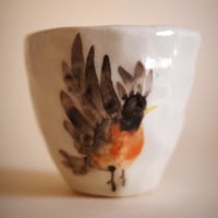 ROBIN mug