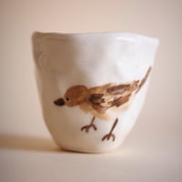 female linnet mug 2