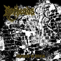 ROTHEADS - Unfazed By Death CD