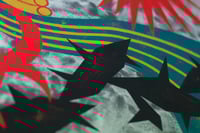 Image 4 of Llanto Animal