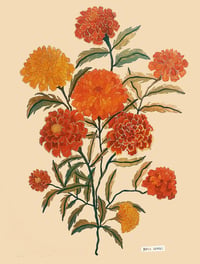 Image 3 of Mother's Day Gift Bundle - You, Me & Marigolds
