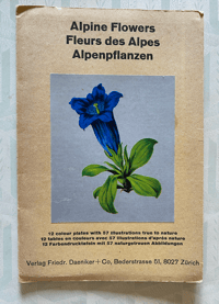 Image 1 of Alpine Flowers Fleurs des Alpes 