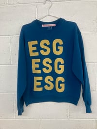 Image 1 of ESG, turquoise M (20"P2P, 24"S2H, 29"C2C) 