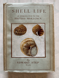 Image 1 of Shell Life by Edward Step