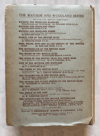 Image 7 of Shell Life by Edward Step