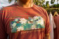 Image 1 of KCC Lotus (Adult)