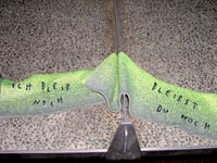 Image 3 of bleibst du noch scarf / limette - kiesel 