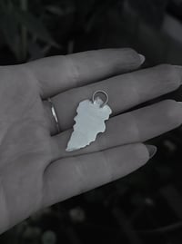Image 4 of Fern pendant 
