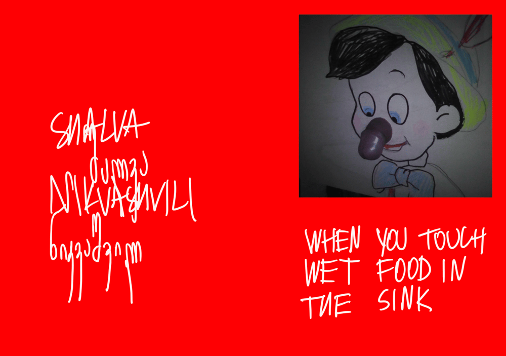 WHEN YOU TOUCH WET FOOD IN THE SINK, 2026 BY SHALVA NIKVASHVILI