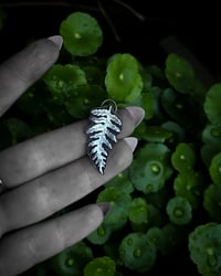 Image 3 of Fern pendant 