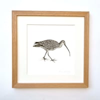 Image 3 of CURLEW ART PRINT