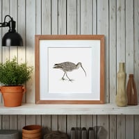 Image 2 of CURLEW ART PRINT
