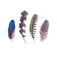 Image 1 of FEATHER ART PRINT