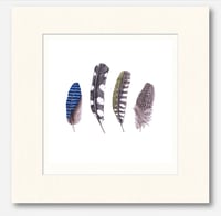 Image 3 of FEATHER ART PRINT