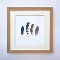 Image 5 of FEATHER ART PRINT