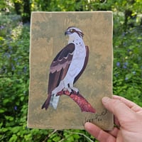 A5 Osprey Cut Paper Collage