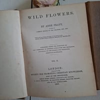 Image 4 of Stunning Duo Of Wild Flower Books dated 1857