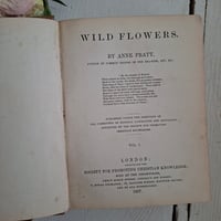 Image 3 of Stunning Duo Of Wild Flower Books dated 1857