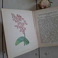 Image 10 of Stunning Duo Of Wild Flower Books dated 1857