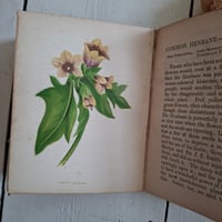 Image 9 of Stunning Duo Of Wild Flower Books dated 1857