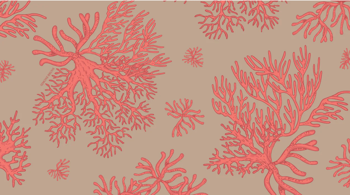 Cashmere Scarves SS'26- NEW DROP- Arriving Early May! - Image 3 of 14
