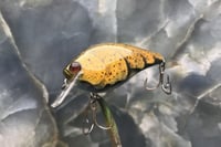 Image 4 of SPEEDBAITS Custom Airbrushed 2.5 Squarebill Crankbait 8020