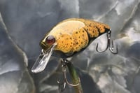 Image 1 of SPEEDBAITS Custom Airbrushed 2.5 Squarebill Crankbait 8020
