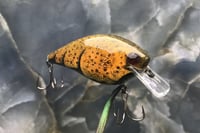 Image 5 of SPEEDBAITS Custom Airbrushed 2.5 Squarebill Crankbait 8020