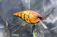 Image 2 of SPEEDBAITS Custom Airbrushed 2.5 Squarebill Crankbait 8038