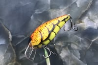 Image 3 of SPEEDBAITS Custom Airbrushed 2.5 Squarebill Crankbait 8038