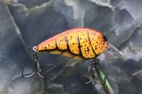 Image 4 of SPEEDBAITS Custom Airbrushed 2.5 Squarebill Crankbait 8038