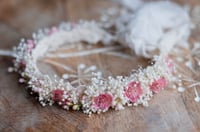 Pinky Crown