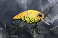 Image 2 of SPEEDBAITS Custom Airbrushed 2.5 Squarebill Crankbait 8071