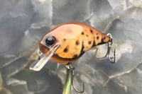 Image 1 of Custom Airbrushed S-CRANK 1.5 Squarebill Crankbait 8113