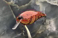Image 4 of SPEEDBAITS Custom Airbrushed 2.5 Squarebill Crankbait 8365