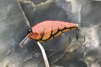 Image 3 of SPEEDBAITS Custom Airbrushed 2.5 Squarebill Crankbait 8365