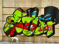 STUP X TMNT